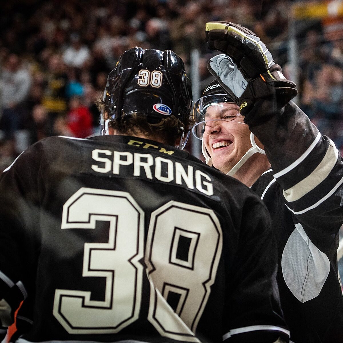 Daniel Sprong Hershey Bears