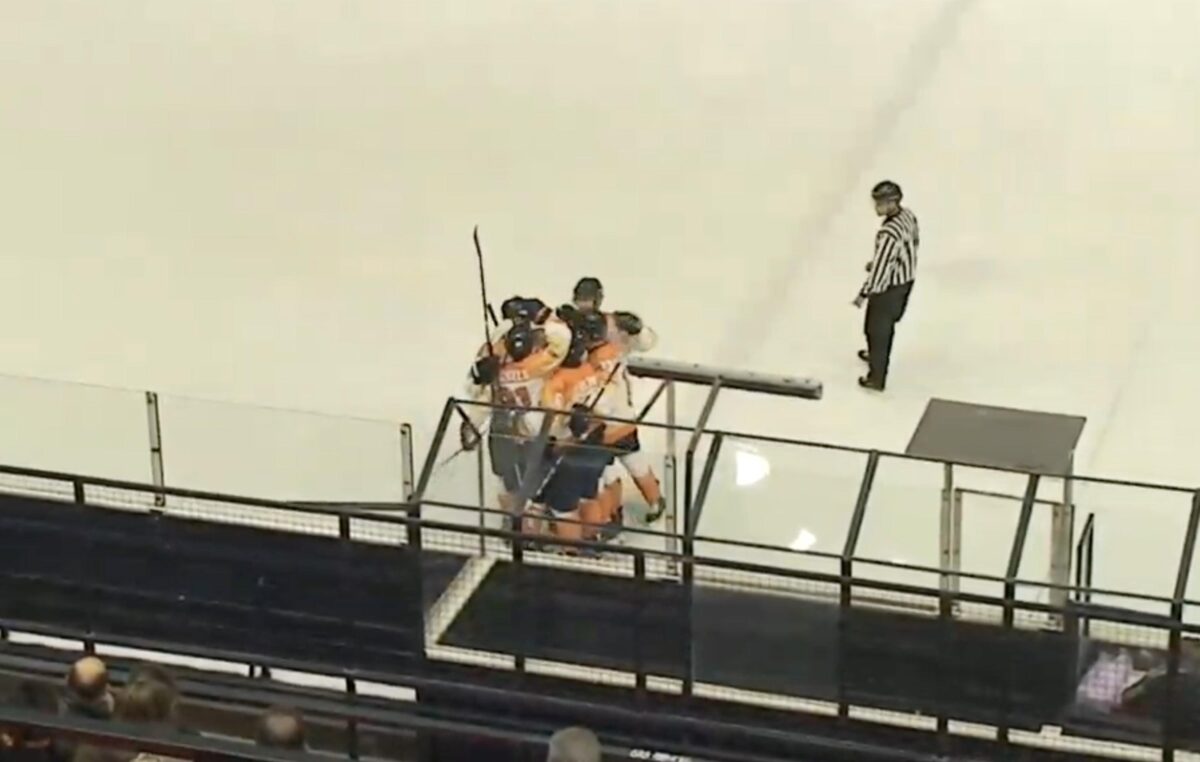 Nederland Australie vieren goal