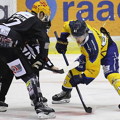 Thialf Icehockey Cup Trappers 201920 Max Hermens face off