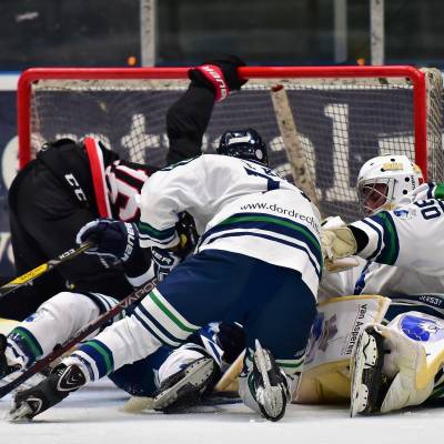 ED Lions Eaters 131019 10