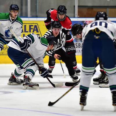 ED Lions Eaters 131019 1