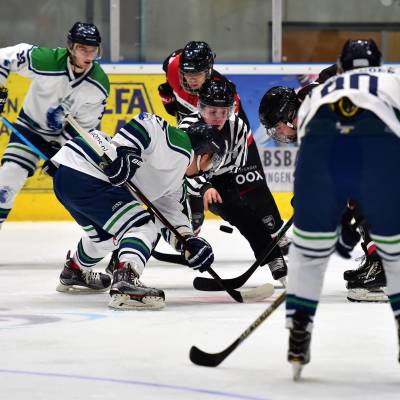 ED Lions Eaters 131019 2