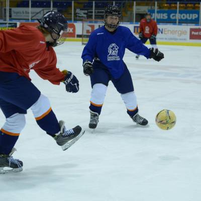 Oranje vrouwen trainingskamp Thialf 27