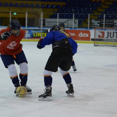 Oranje vrouwen trainingskamp Thialf 28