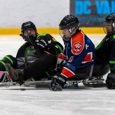 Para ijshocky Dord 31