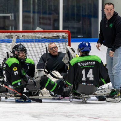 Para ijshocky Dord 33