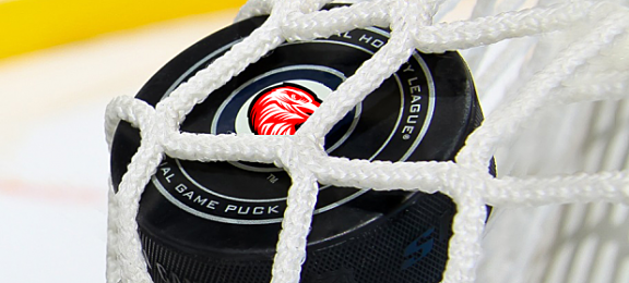 Redeagles generiek puck in net logo lores 1516