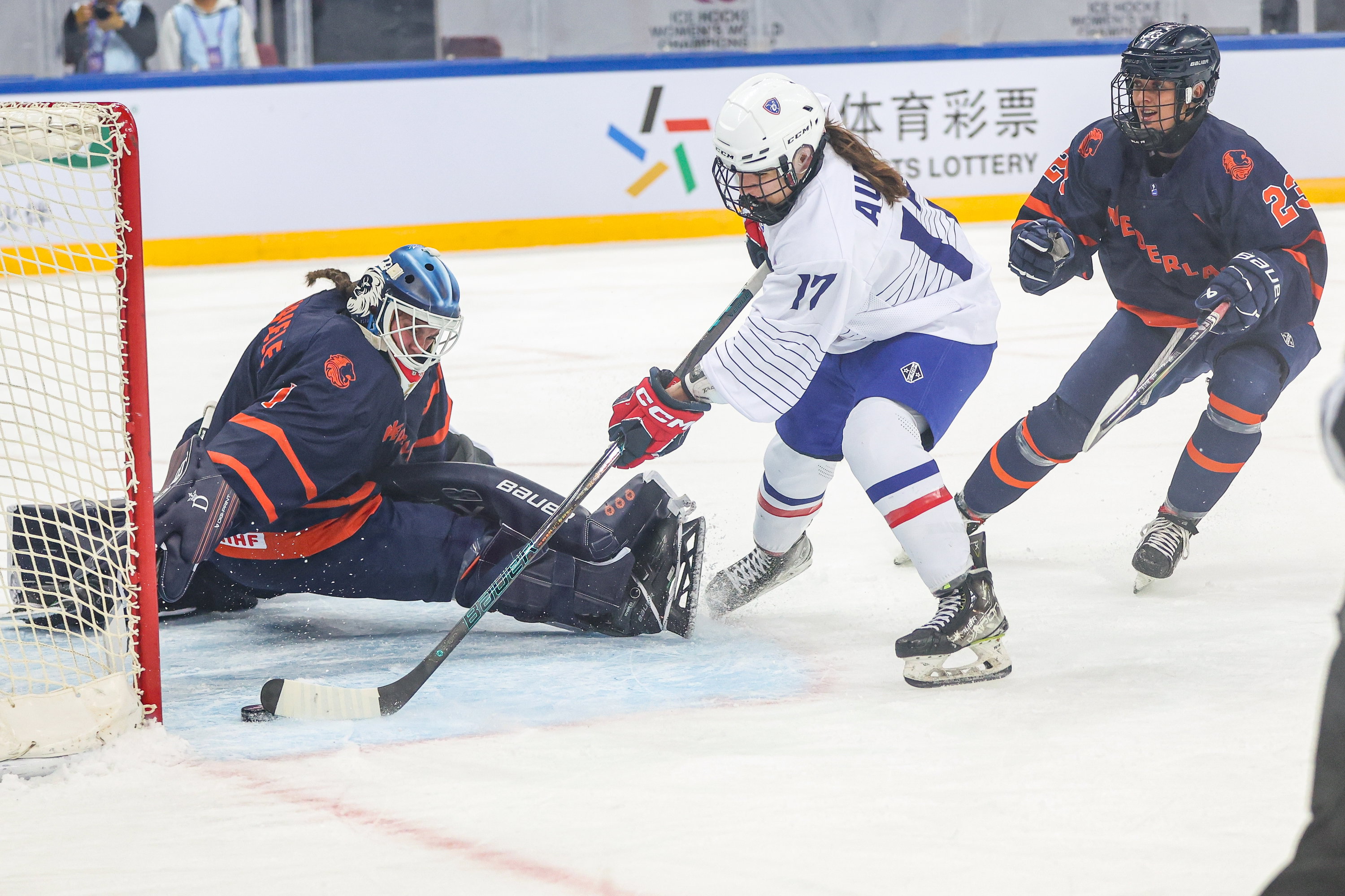 20250413 WANGYUE WY5 1003 ED