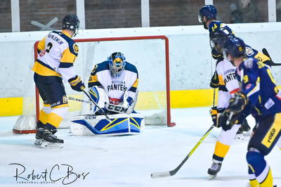 31800675417 fa664c500b k