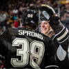 Daniel Sprong Hershey Bears