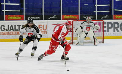 ED GIJS Tigers 191019