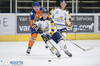 Kemphanen Trappers 28 11 2015