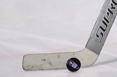 Stock - goaliestick en puck