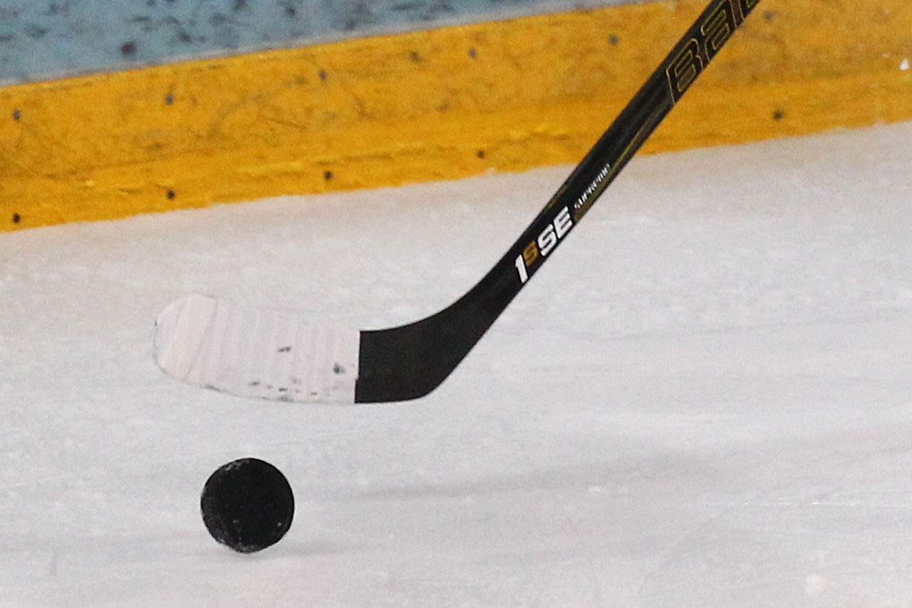 Stock - Puck en stick