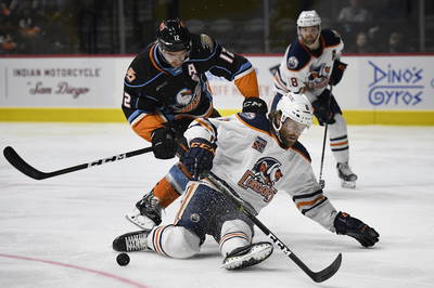 San Diego Gulls Defend The Nest