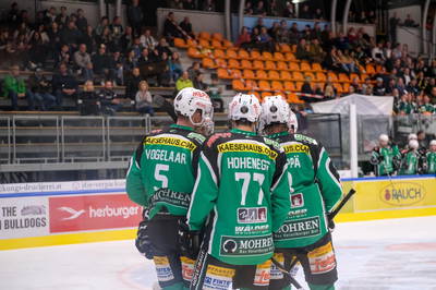 Vogelaar Bregenzerwald 09 2019