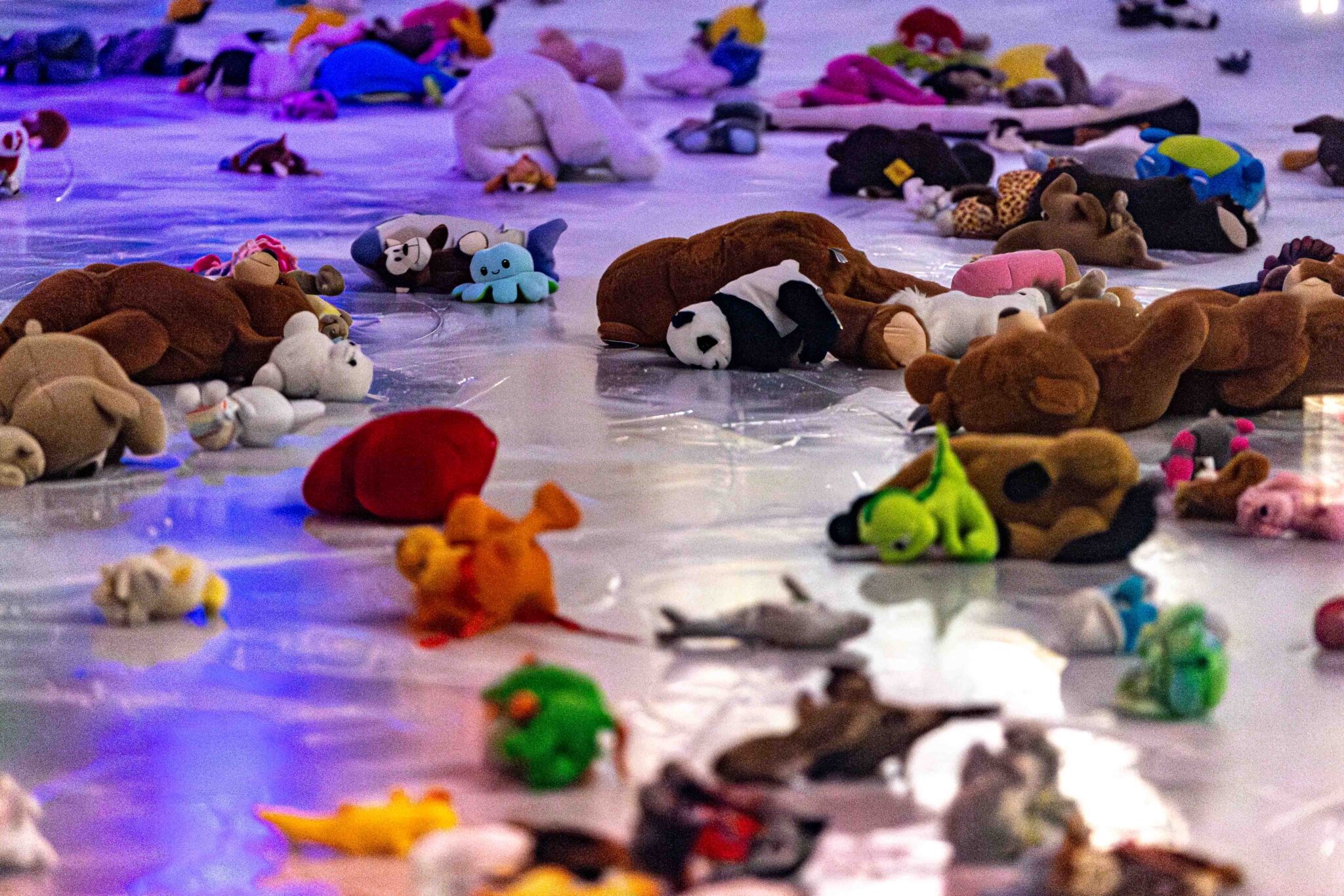 De Teddy Bear Toss voor het goede doel bij Zoetermeer Panters was een groot succes.
